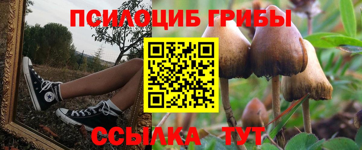 Галлюциногенные грибы GOLDEN TEACHER  Вход с VPN  Каменка 