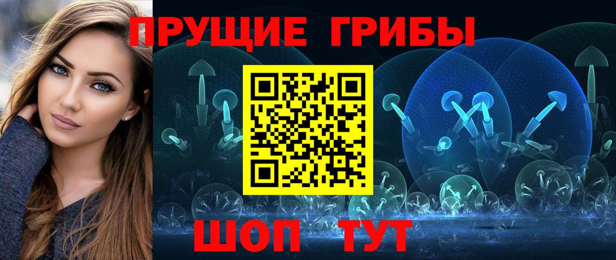 Псилоцибиновые грибы Psilocybe Каменка